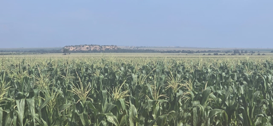 0 Bedroom Property for Sale in Hennenman Rural Free State
